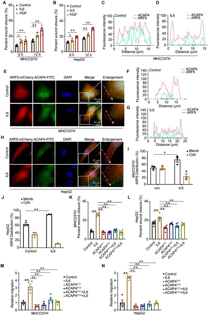 Int J Biol Sci Image