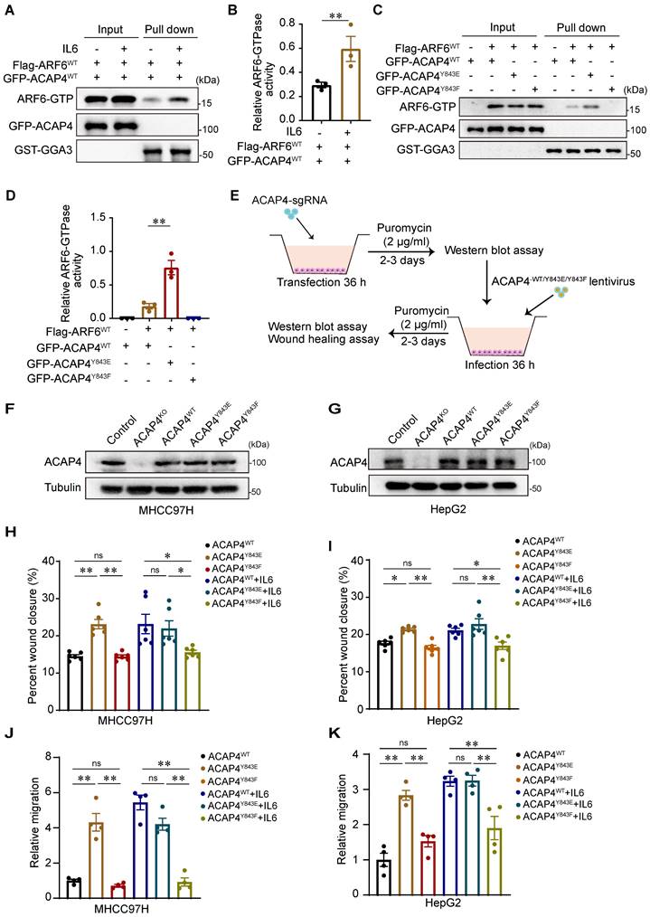 Int J Biol Sci Image