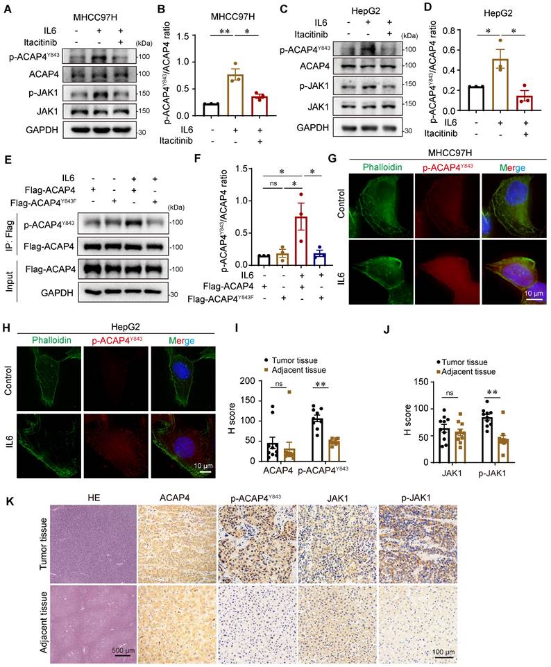 Int J Biol Sci Image