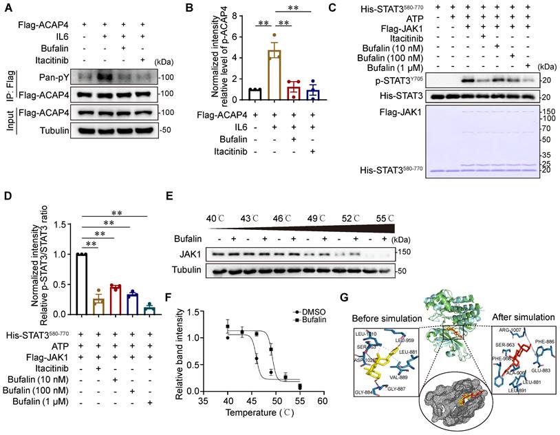 Int J Biol Sci Image