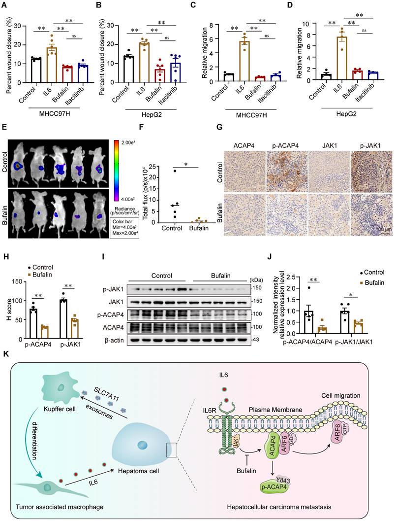 Int J Biol Sci Image