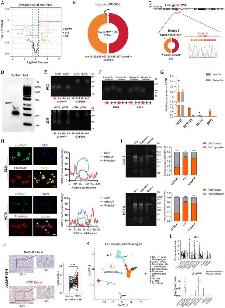 Int J Biol Sci Image