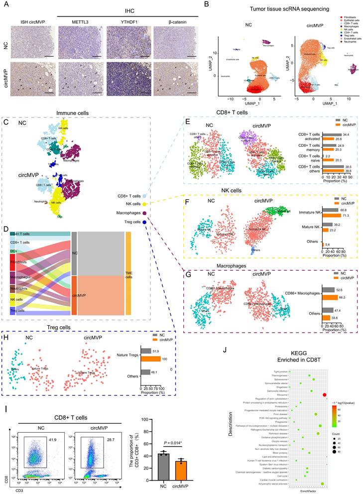 Int J Biol Sci Image