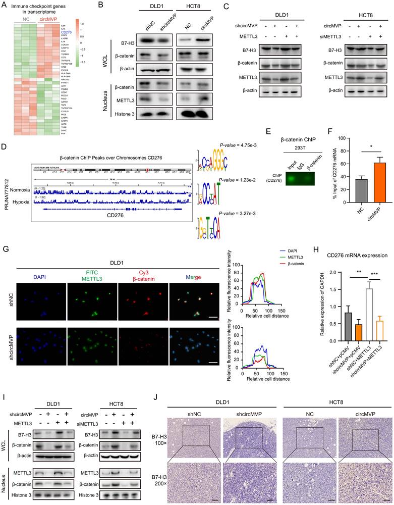 Int J Biol Sci Image