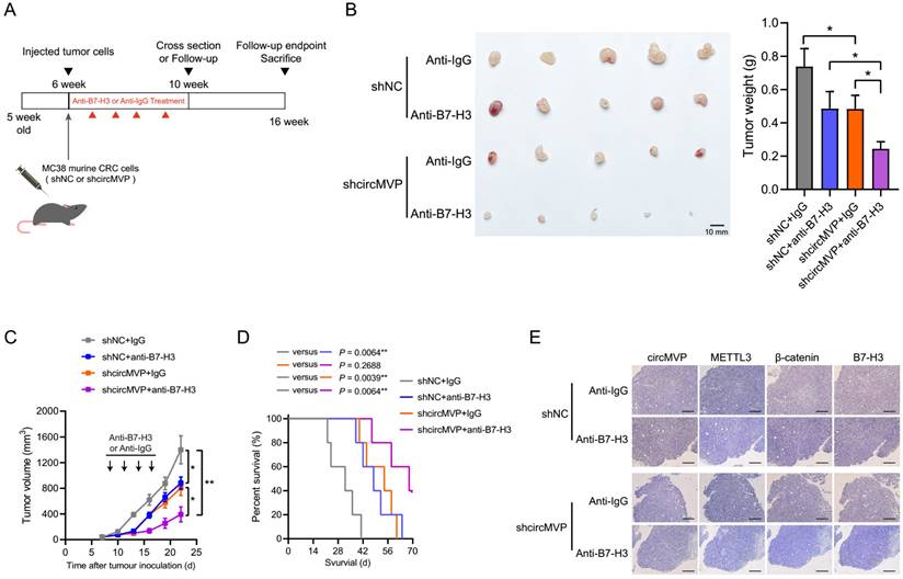 Int J Biol Sci Image