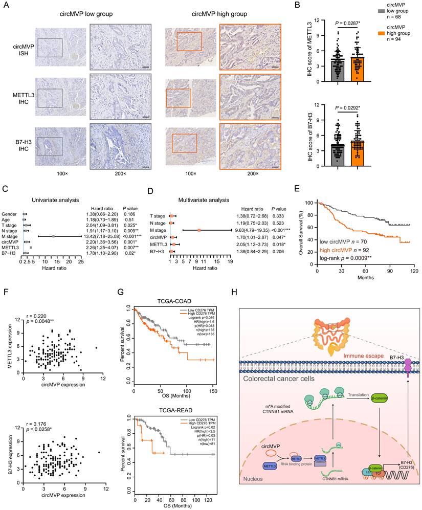 Int J Biol Sci Image