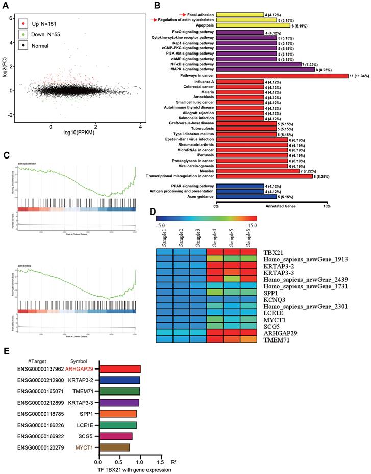 Int J Biol Sci Image