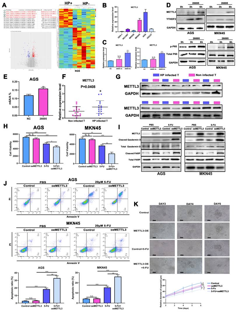 Int J Biol Sci Image