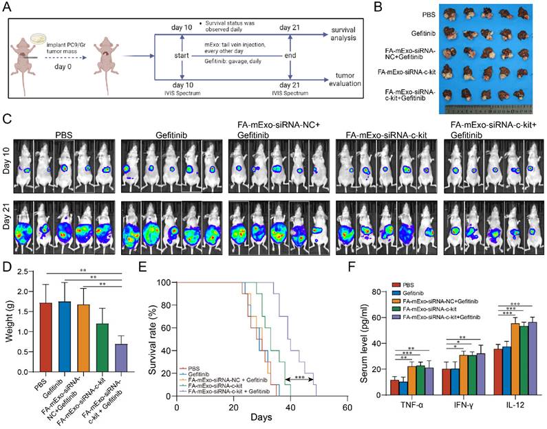 Int J Biol Sci Image