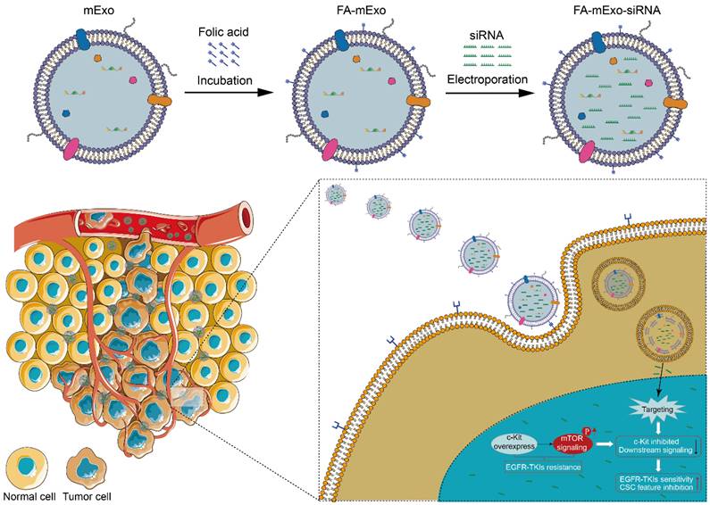 Int J Biol Sci Image