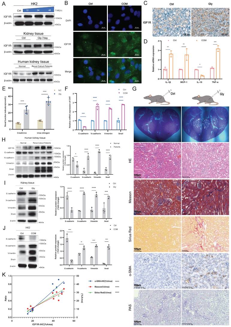 Int J Biol Sci Image