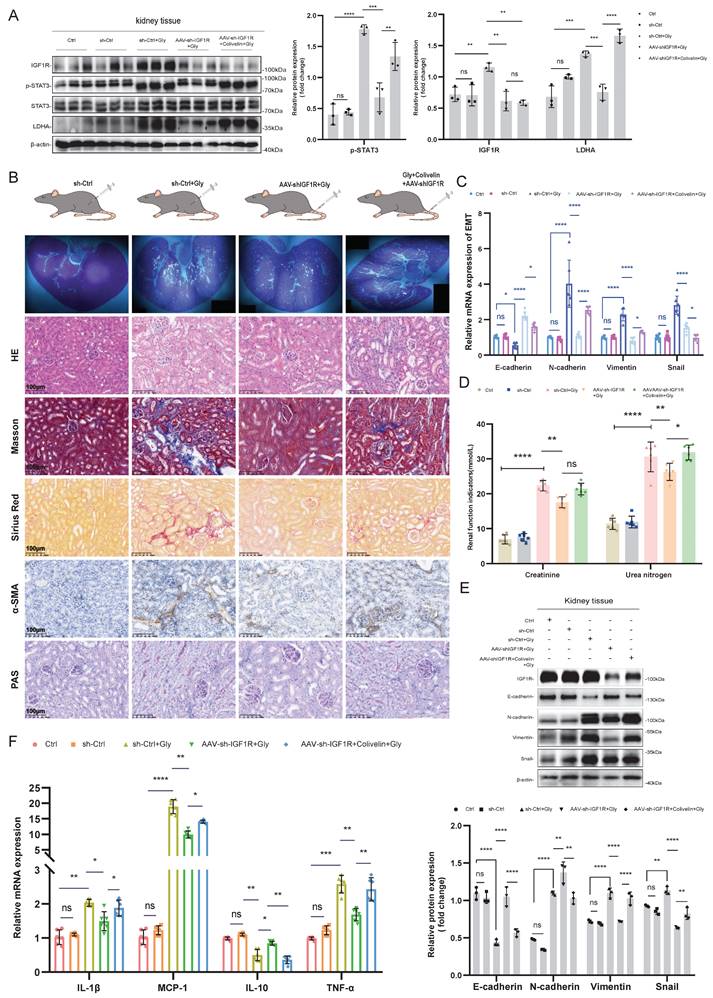 Int J Biol Sci Image