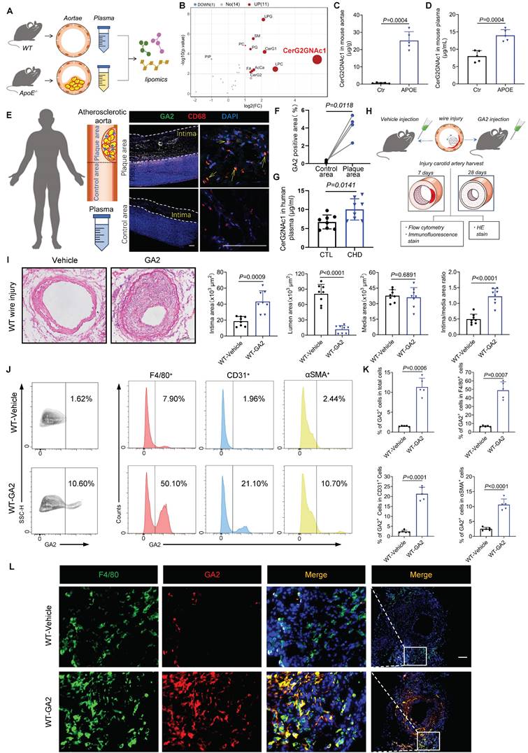 Int J Biol Sci Image