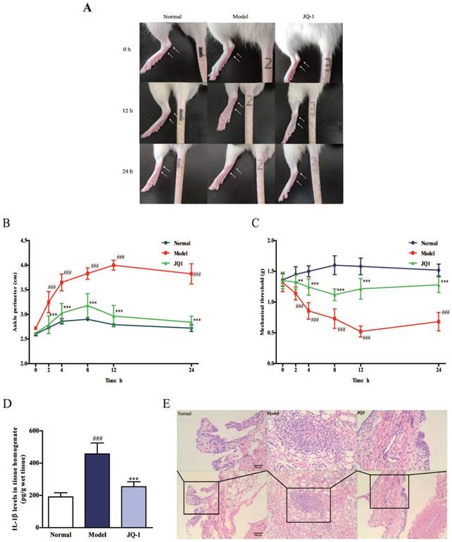 Int J Biol Sci Image