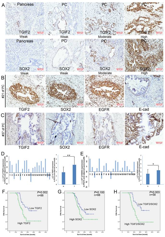 Int J Biol Sci Image