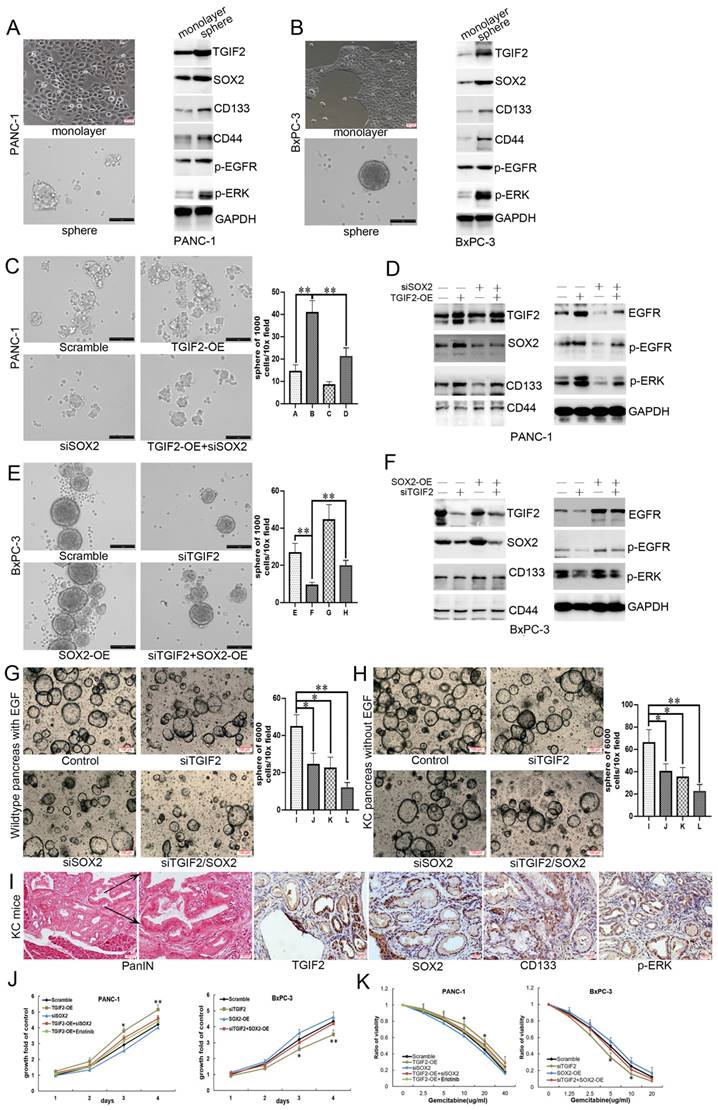 Int J Biol Sci Image