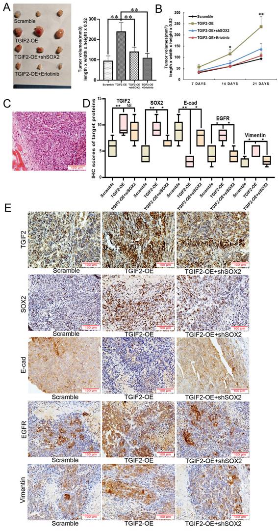 Int J Biol Sci Image