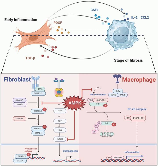 Int J Biol Sci Image