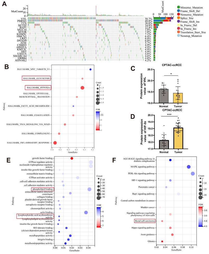 Int J Biol Sci Image