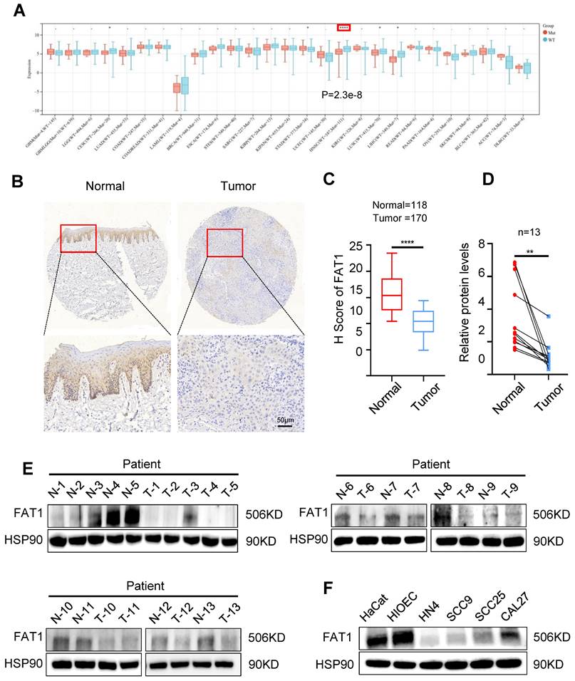 Int J Biol Sci Image