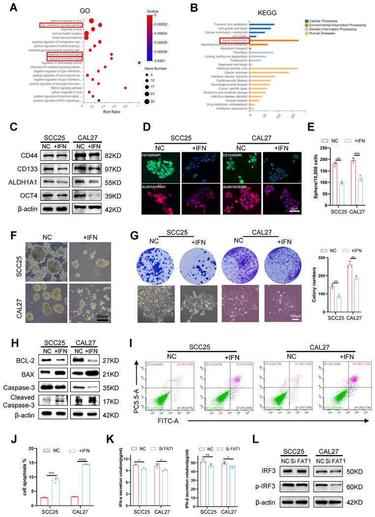 Int J Biol Sci Image