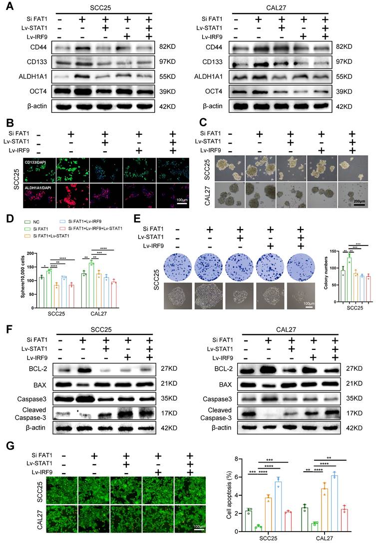 Int J Biol Sci Image