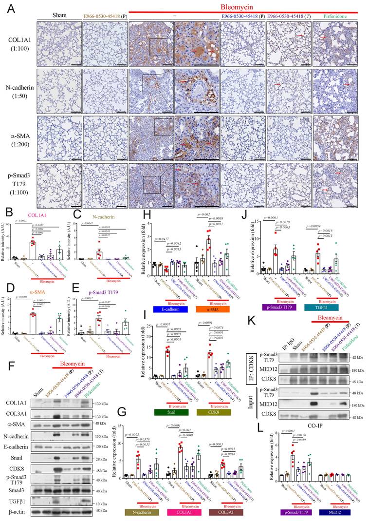 Int J Biol Sci Image