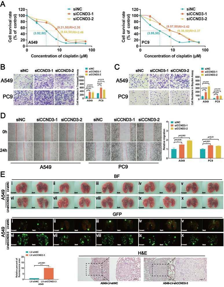 Int J Biol Sci Image