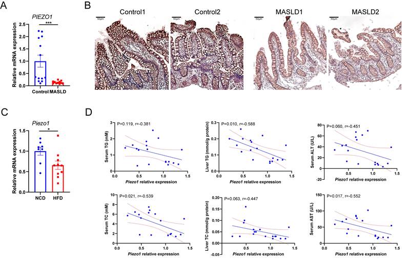 Int J Biol Sci Image