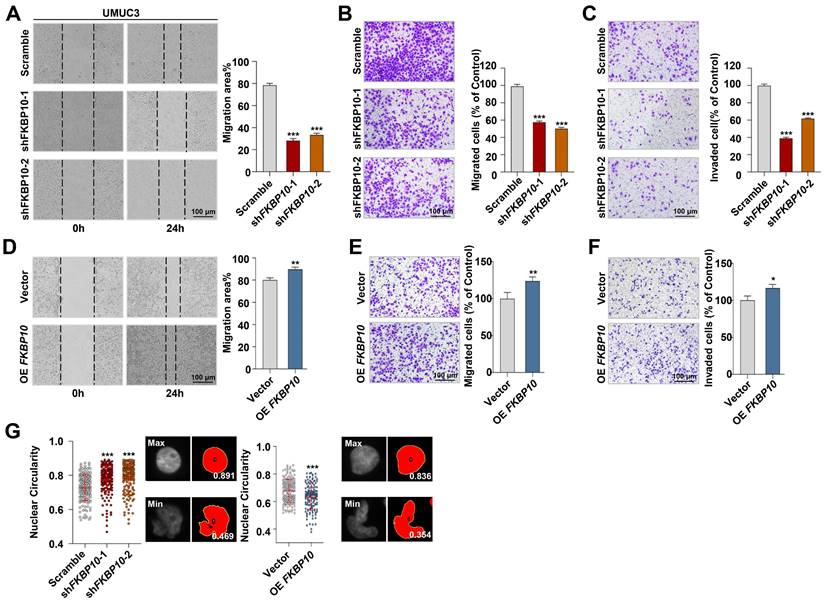 Int J Biol Sci Image