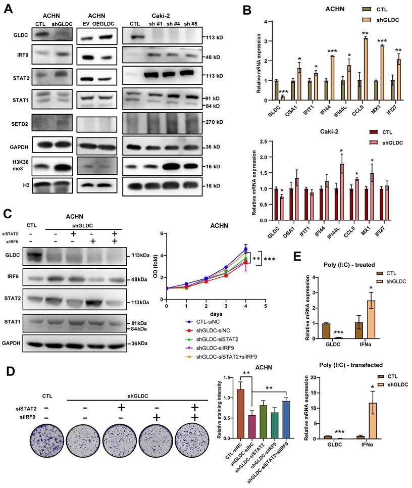 Int J Biol Sci Image