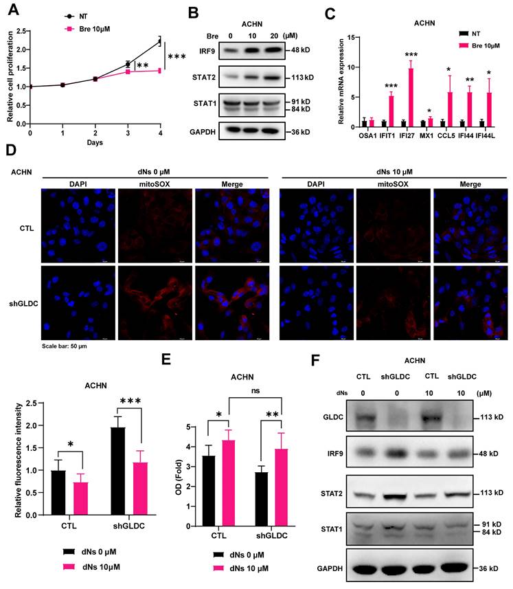 Int J Biol Sci Image