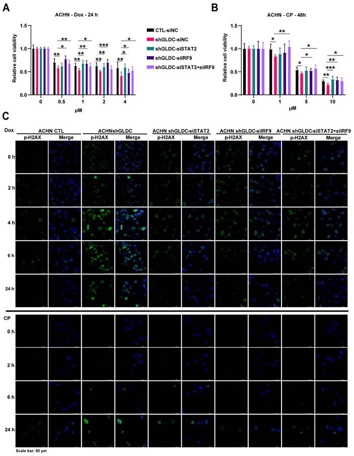 Int J Biol Sci Image