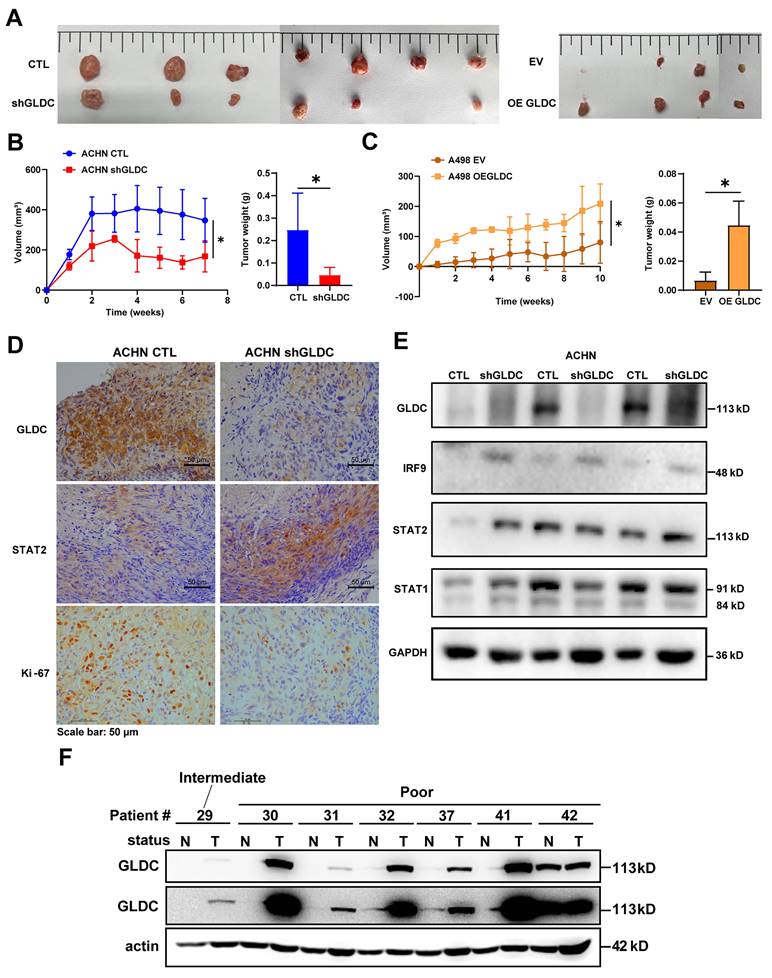 Int J Biol Sci Image