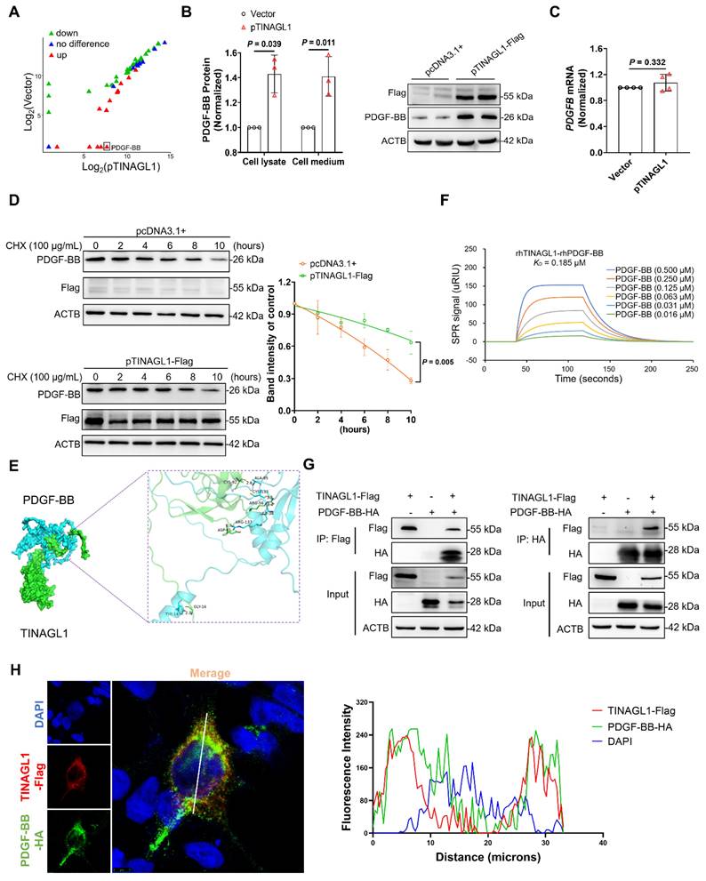 Int J Biol Sci Image