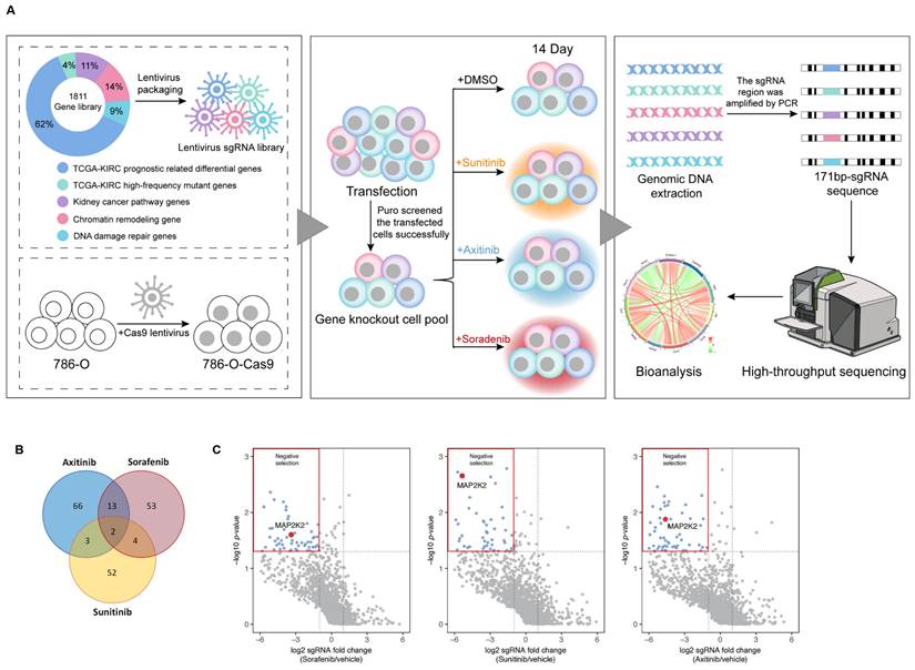 Int J Biol Sci Image