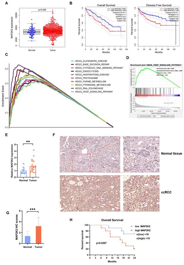 Int J Biol Sci Image