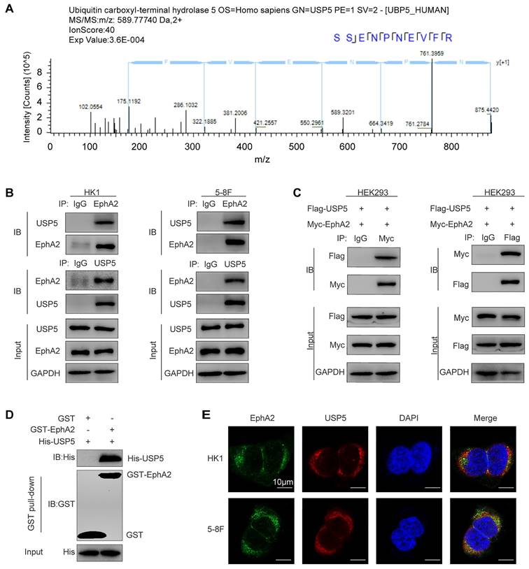 Int J Biol Sci Image