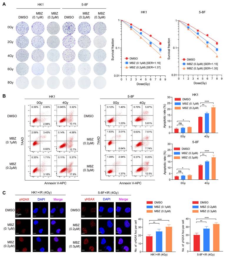 Int J Biol Sci Image