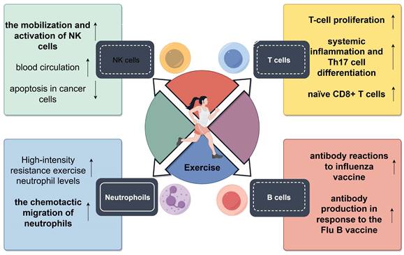 Int J Biol Sci Image