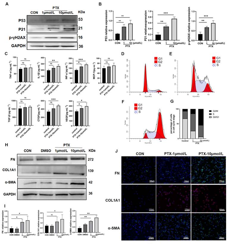 Int J Biol Sci Image