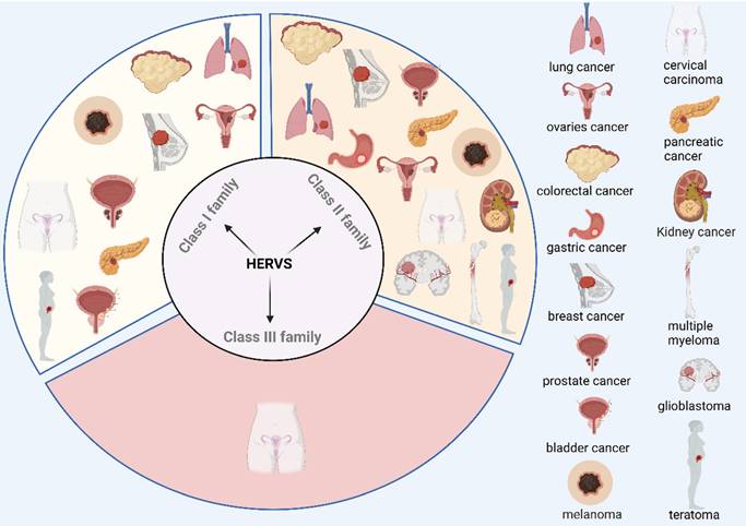 Int J Biol Sci Image