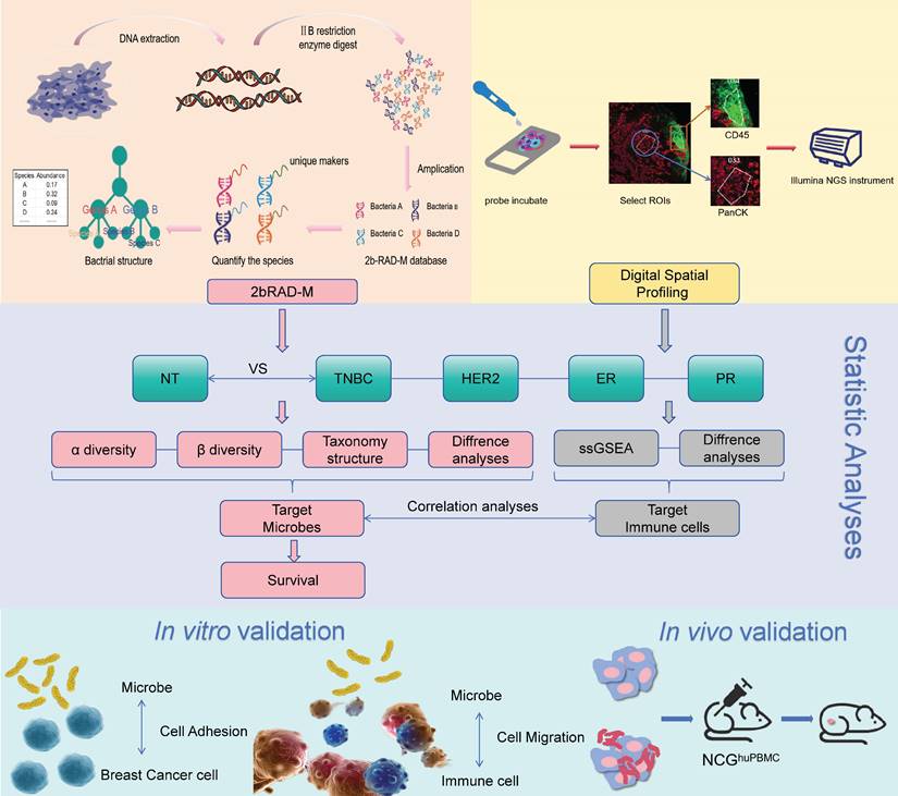 Int J Biol Sci Image