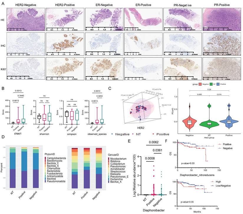 Int J Biol Sci Image