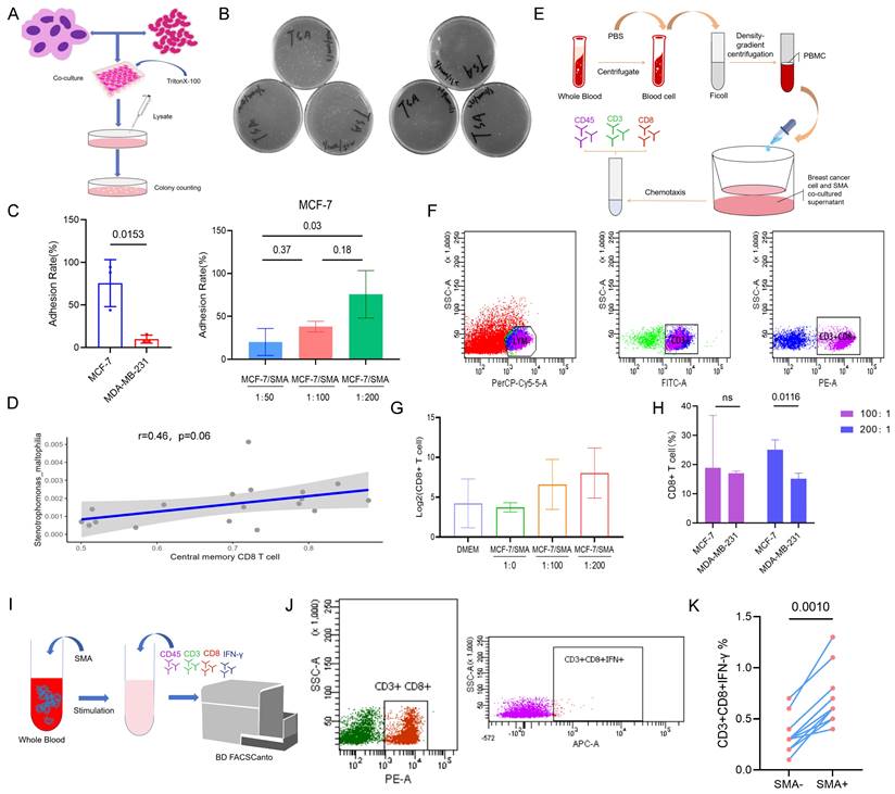 Int J Biol Sci Image