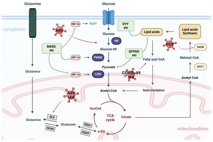 Int J Biol Sci Image