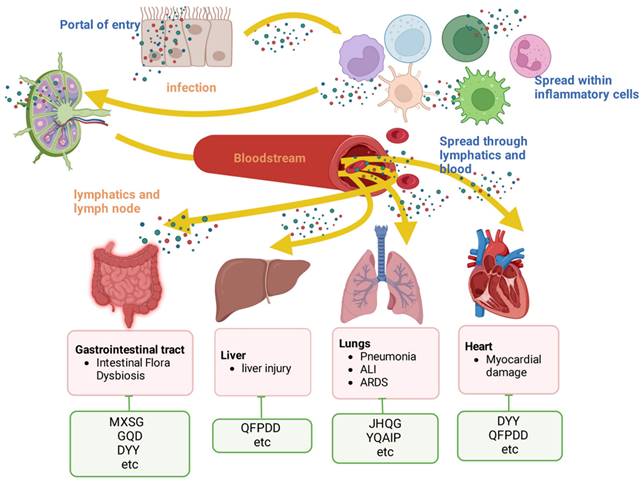 Int J Biol Sci Image