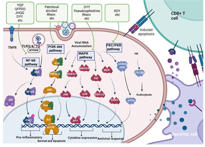 Int J Biol Sci Image