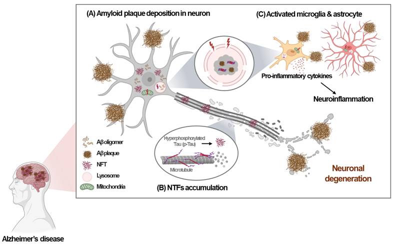 Int J Biol Sci Image