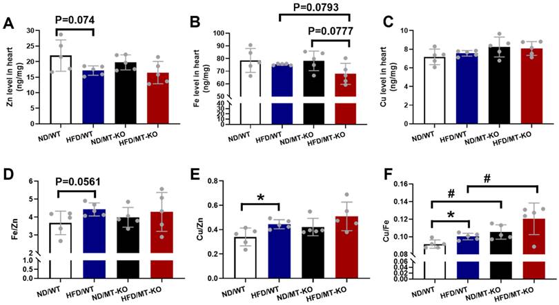 Int J Biol Sci Image